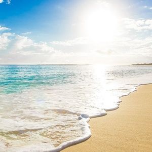 Meet your Posher, Arielle